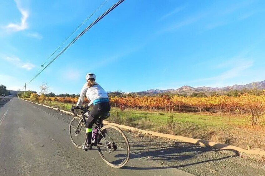 Bicycle Guided Tour in Napa and Sonoma