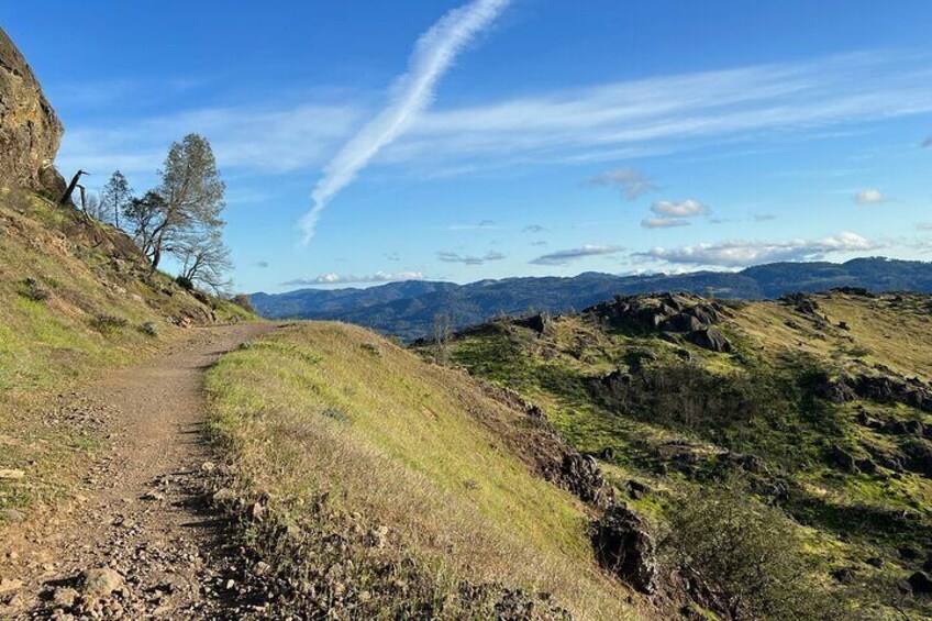 Bicycle Guided Tour in Napa and Sonoma