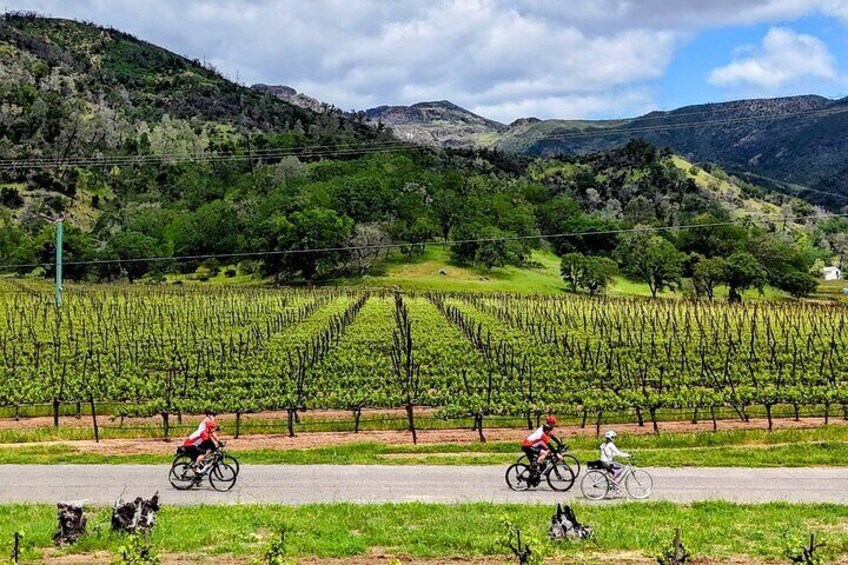 Stunning vistas of vineyards and the Mayacamas mountains