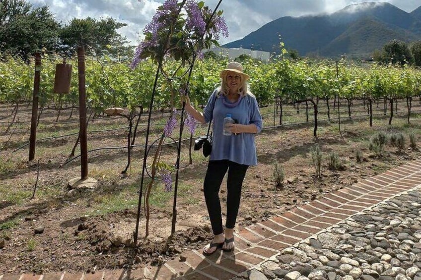 Private Tour to Finca Estramancia Vineyard and the Chapala Riviera