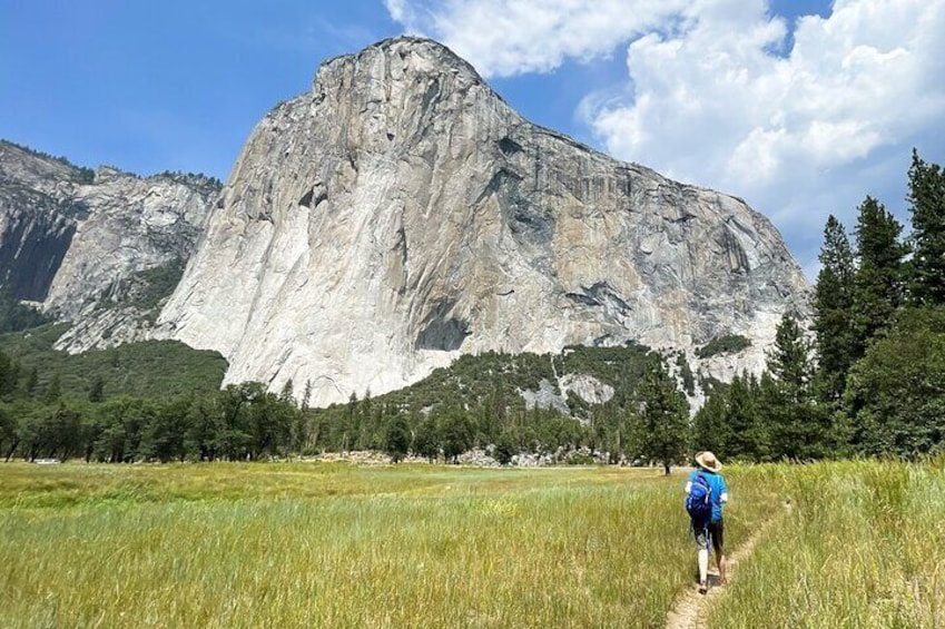 El Capitan, Yosemite: A Rock Climber's Odyssey - Private Tour