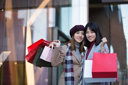 Private Shopping Tour from Hakone to Mitsui Outlet Park Yokohama