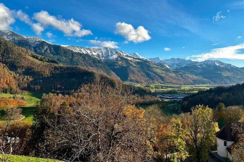 Basel Private Tour - Gruyères, Cheese, and Lavaux's UNESCO Wine