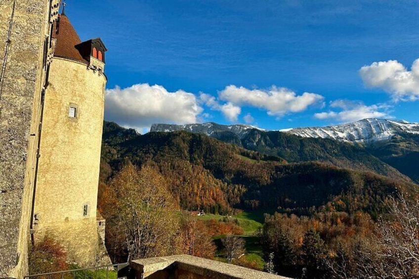 Basel Private Tour - Gruyères, Cheese, and Lavaux's UNESCO Wine