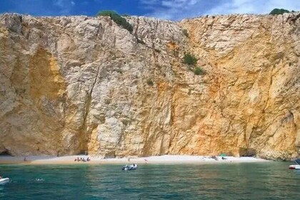 Swimming and Snorkelling on the Wild Bays 3.5 Hours (PUBLIC)