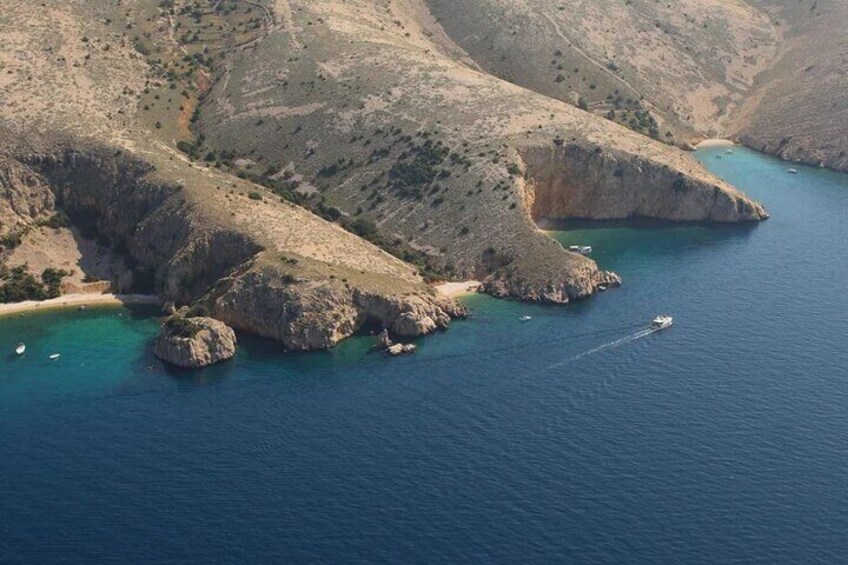 Wild Bays