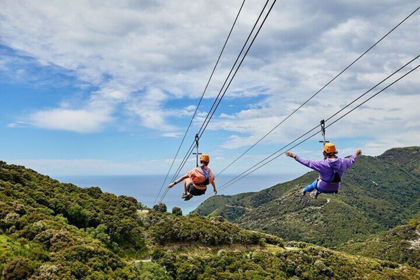 Twin ziplines make this a great shared experience