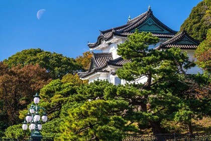 Visite privée à pied de l'histoire du palais impérial à Chiyoda