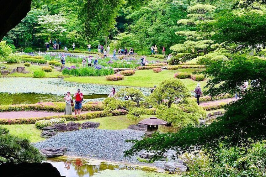 Imperial Palace history Private Walking Tour at Chiyoda 