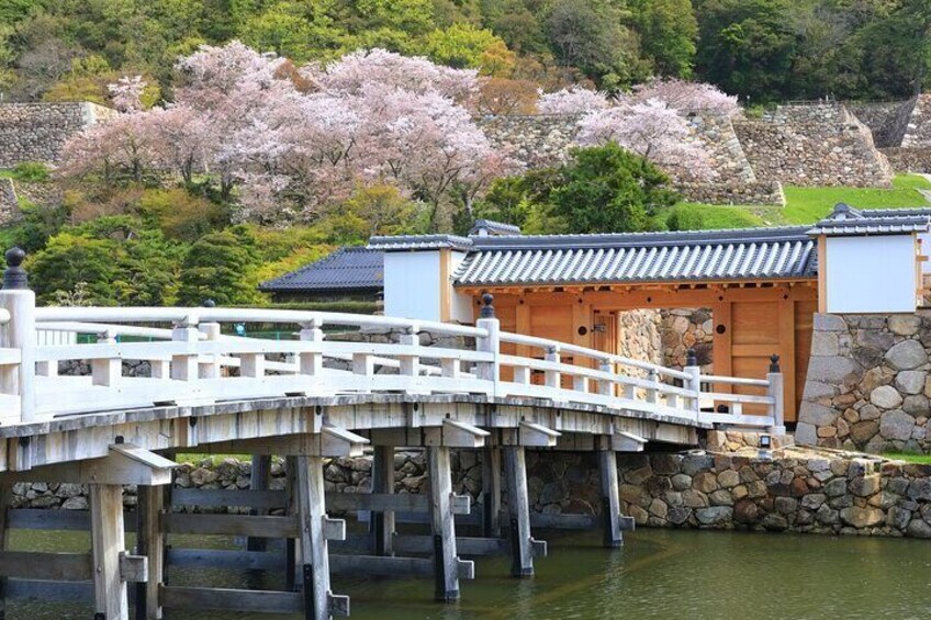 Imperial Palace history Private Walking Tour at Chiyoda 