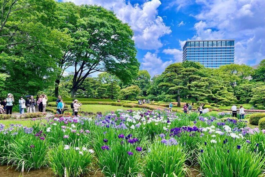 Imperial Palace history Private Walking Tour at Chiyoda 