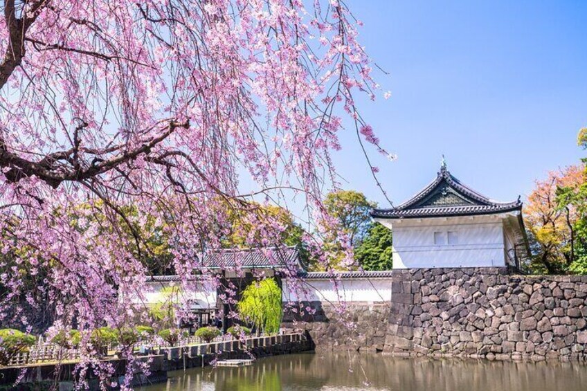 Imperial Palace history Private Walking Tour at Chiyoda 