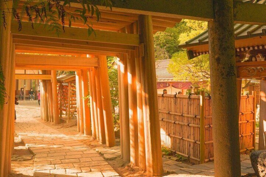 Kamakura Full Day Private Tour 