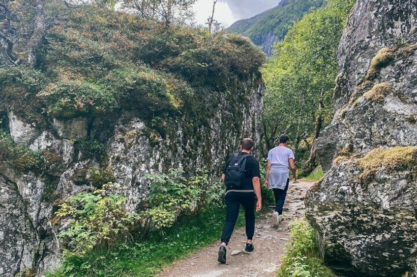 Explore the accessible trails: Wander the national park’s welcoming paths, where even strollers with outdoor wheels move with ease.