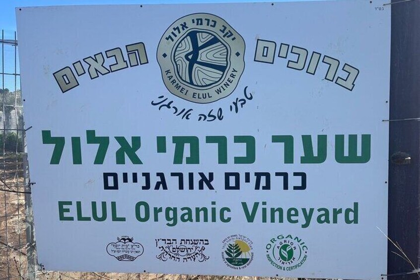 Elul Organic Winery