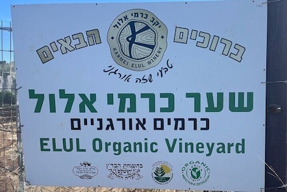 Private Historical Wine Tour from Jerusalem