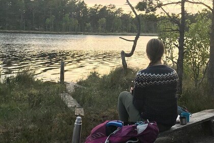 Midnight Sun and Campfire - National Park evening hike Stockholm