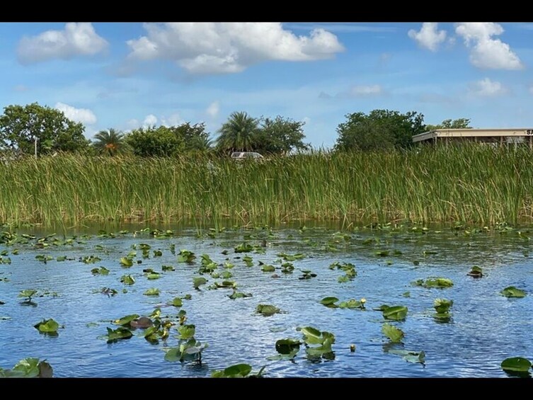 Everglades National Park and Airboat Tour from Surfside