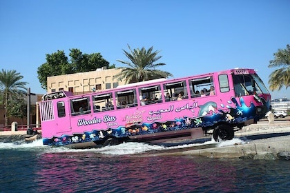 Dubai City Tour in Wonder Bus Sea and Land Adventure Guided Tour