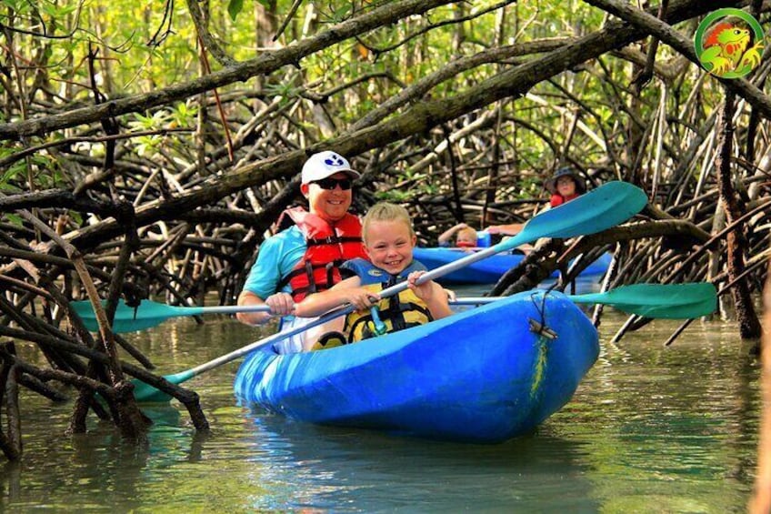 Mangrove Damas Island Kayak Tours