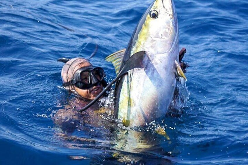 Private Sayulita Spearfishing: Inshore Adventure All Skill Levels