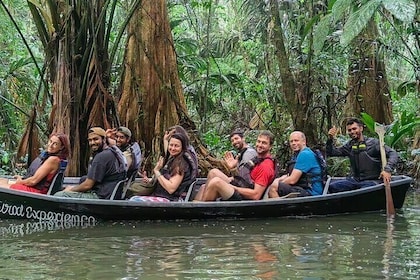 Canoe tour in Tortuguero National Park small group