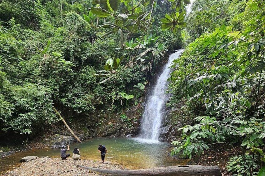 Combo - ATV Tour, Ziplines, Archery & Waterfall include Transport