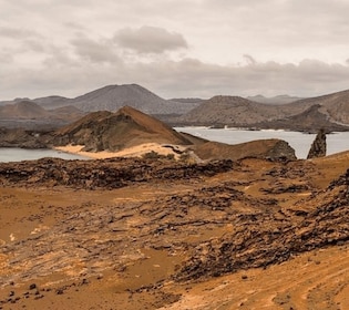 Full Day Bartolome Island & Sullivan Bay