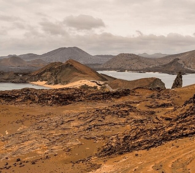 Picture 6 for Activity Full Day Bartolome Island & Sullivan Bay