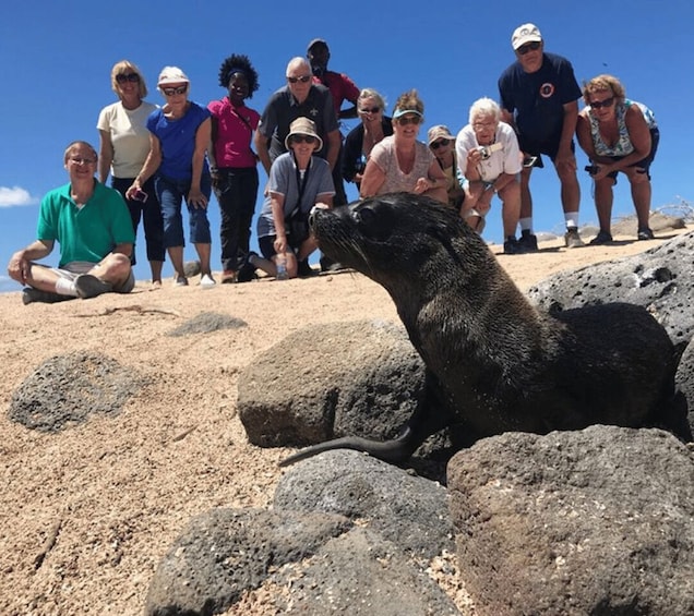 Picture 1 for Activity Full Day Bartolome Island & Sullivan Bay