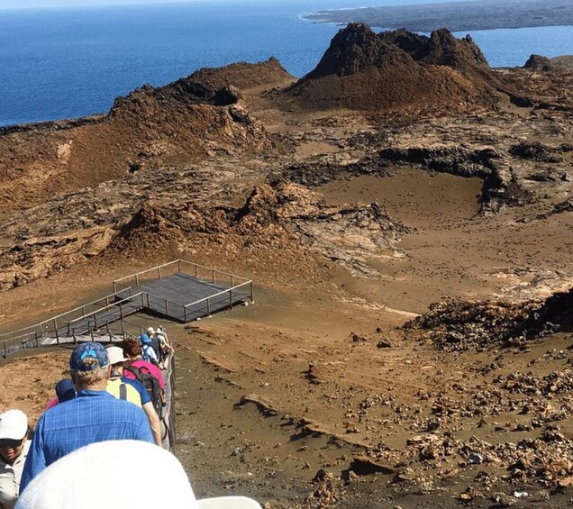 Picture 3 for Activity Full Day Bartolome Island & Sullivan Bay