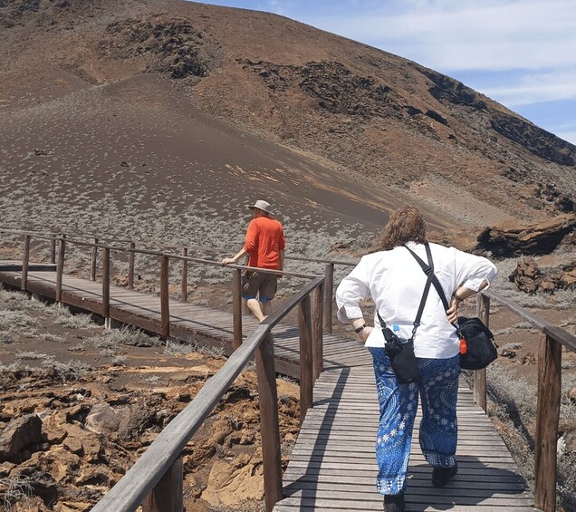 Picture 8 for Activity Full Day Bartolome Island & Sullivan Bay