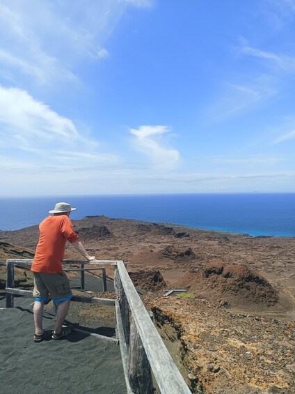 Picture 12 for Activity Full Day Bartolome Island & Sullivan Bay