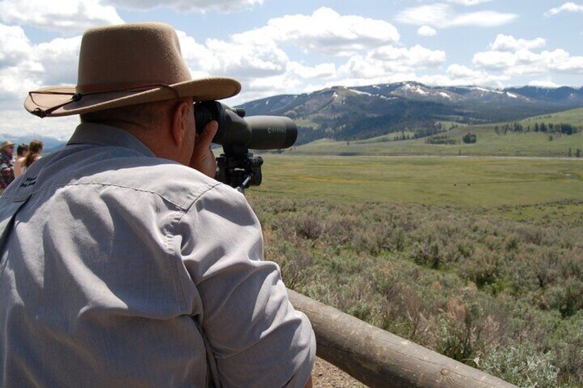 Full-Day Yellowstone Upper Northern Loop Tour