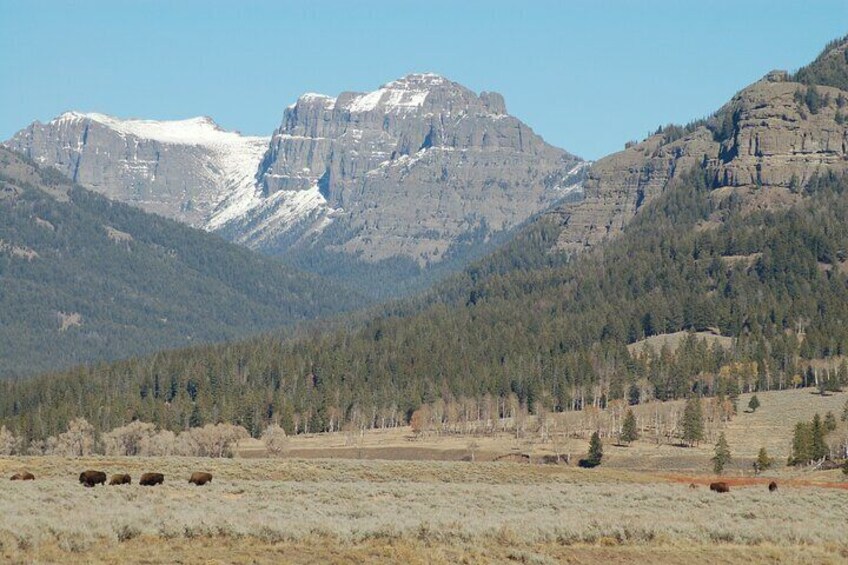 Lamar Valley