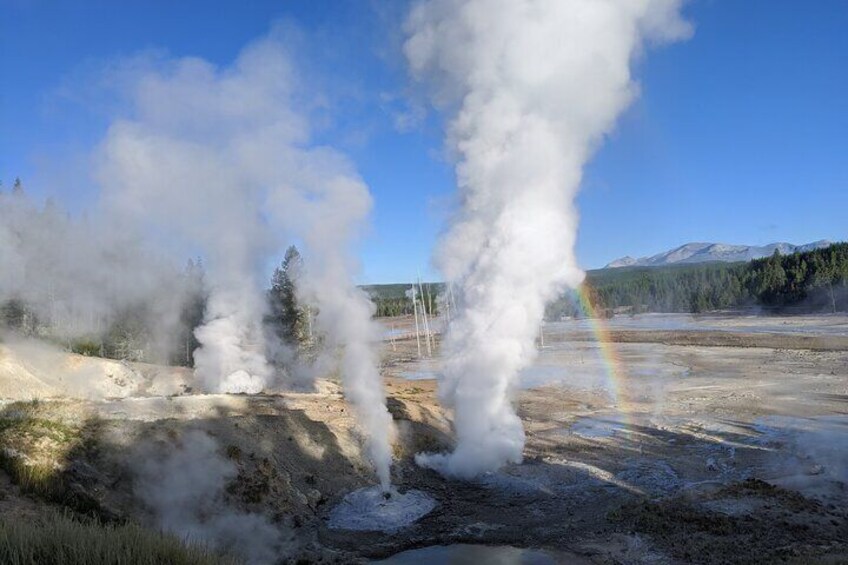 Back Basin at Norris Geyser Basin