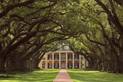 Full Day Plantation - N- Swamp Tour in New Orleans