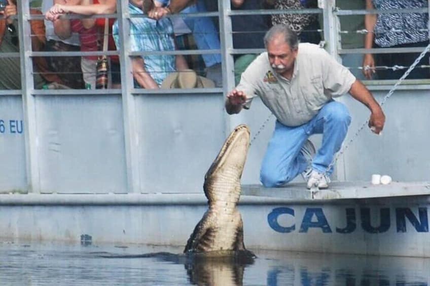 Full Day Plantation Swamp Tour in new orleans