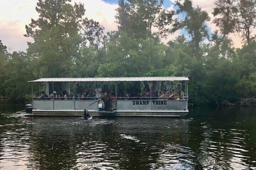 Full Day Plantation - N- Swamp Tour in New Orleans