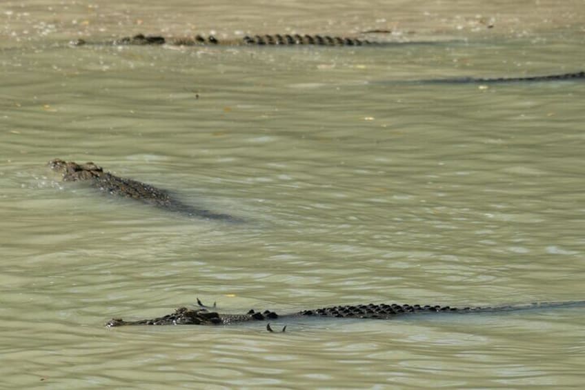 Kakadu National Park Full Day Guided Tour (Tour 3D) 