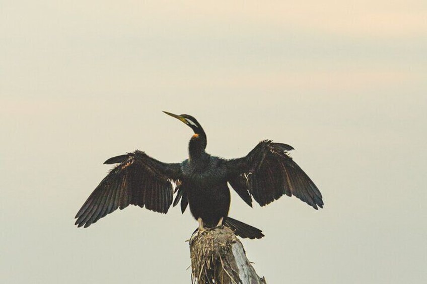 Kakadu National Park Full Day Tour - Yellow River Wildlife Cruise