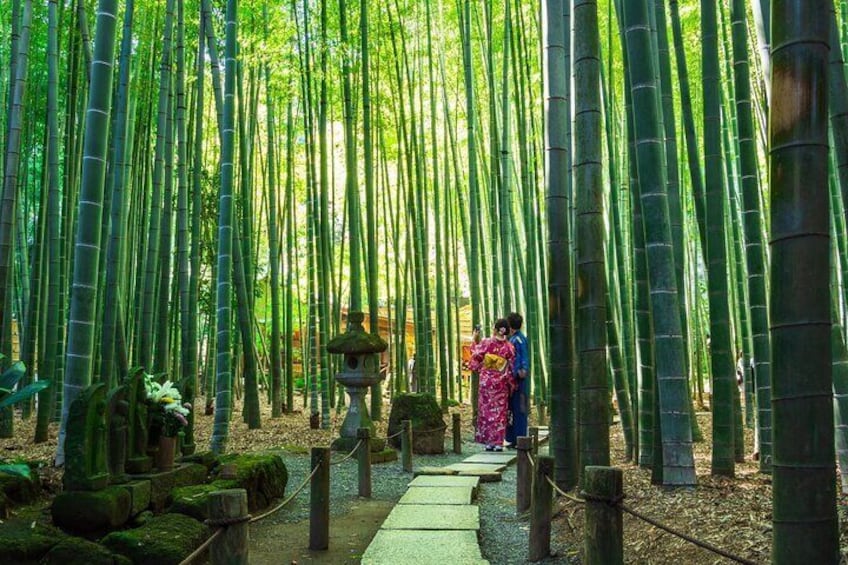 6 Hours Tour Private Kamakura Kimono with Licensed Guide