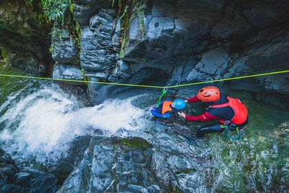 Queenstown : Aventure de canyoning d'une demi-journée