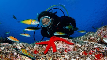 Beginner Scuba Diving Lesson in Caleta de Fuste