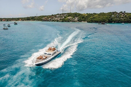 Full Day Nusa Penida by Dedean Yacht 15 metres