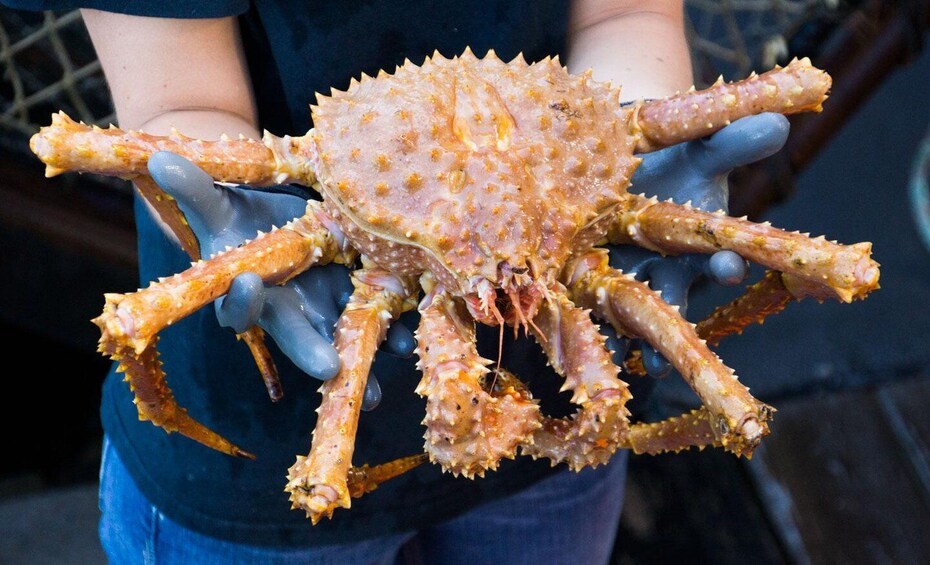 Picture 3 for Activity Bering Sea Crab Fishermen's Tour