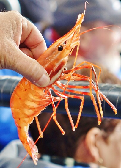 Picture 4 for Activity Bering Sea Crab Fishermen's Tour