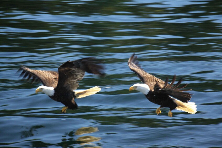 Picture 8 for Activity Bering Sea Crab Fishermen's Tour