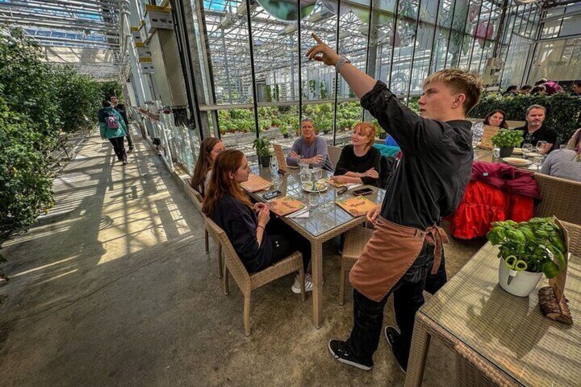 Golden Circle, Silfra Snorkeling & Fridheimar Tomato Farm Lunch