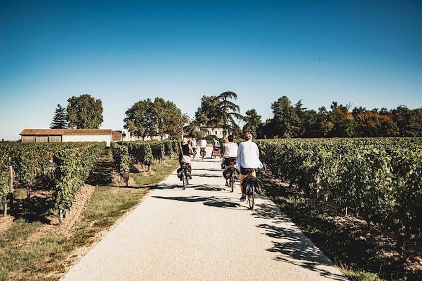 Picture 2 for Activity From Saint-Emilion : Half Day Electric Bike Tour